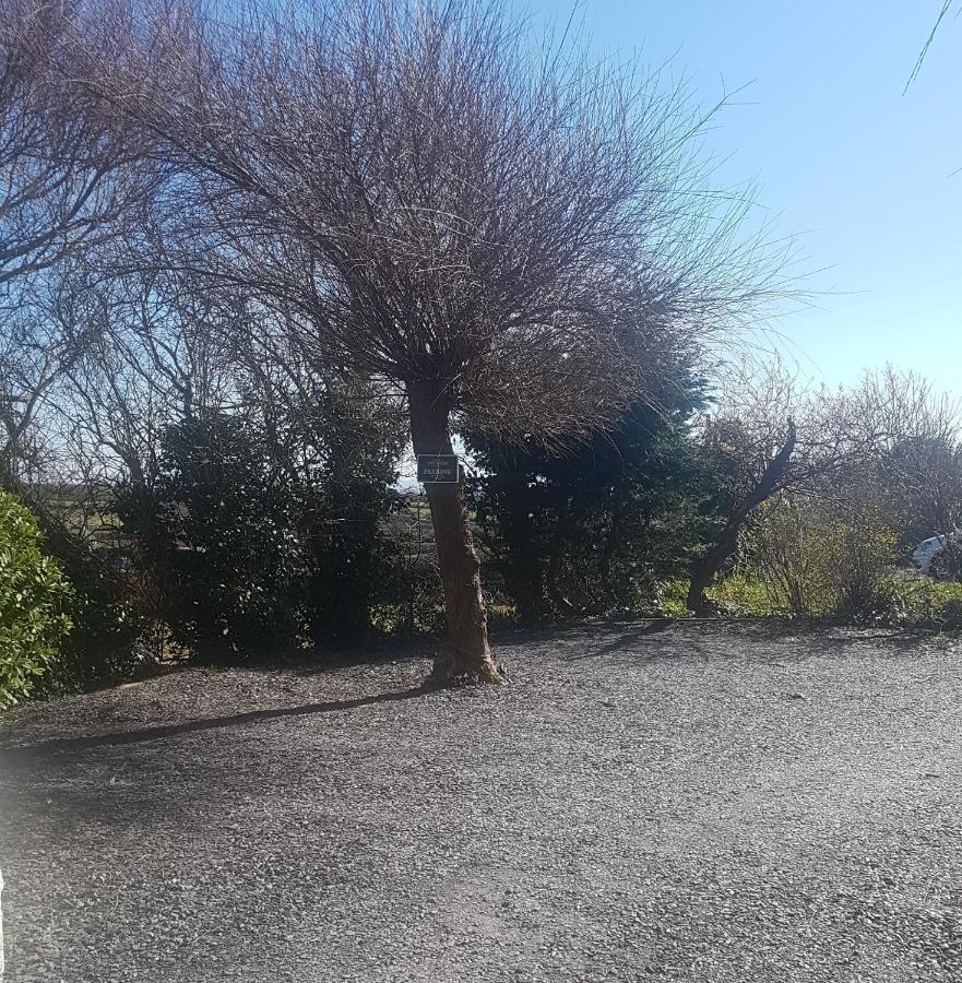Mountain View Apartment - Short Drive To Beaches Bryngwran Екстер'єр фото